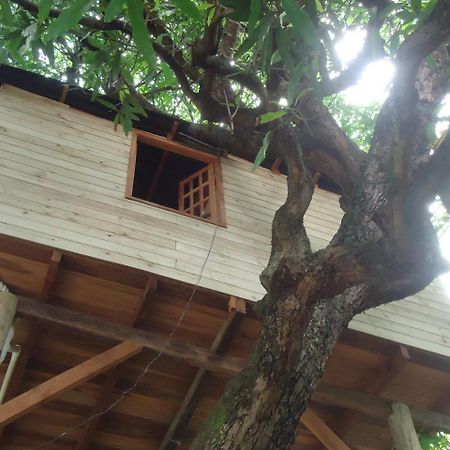 Casa Na Arvore ซัลวาดอร์ ภายนอก รูปภาพ