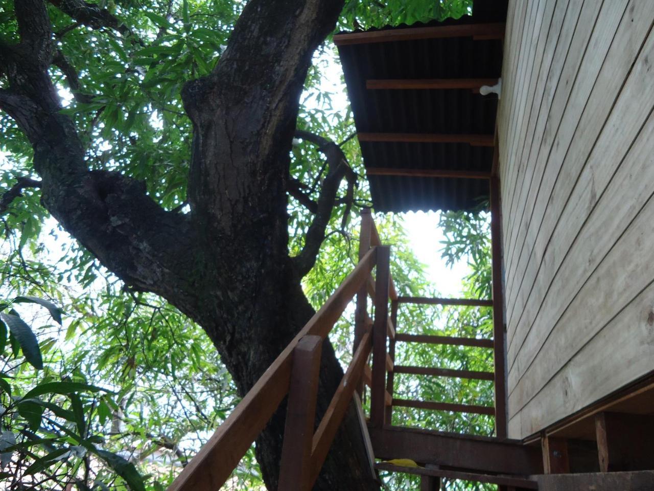 Casa Na Arvore ซัลวาดอร์ ภายนอก รูปภาพ