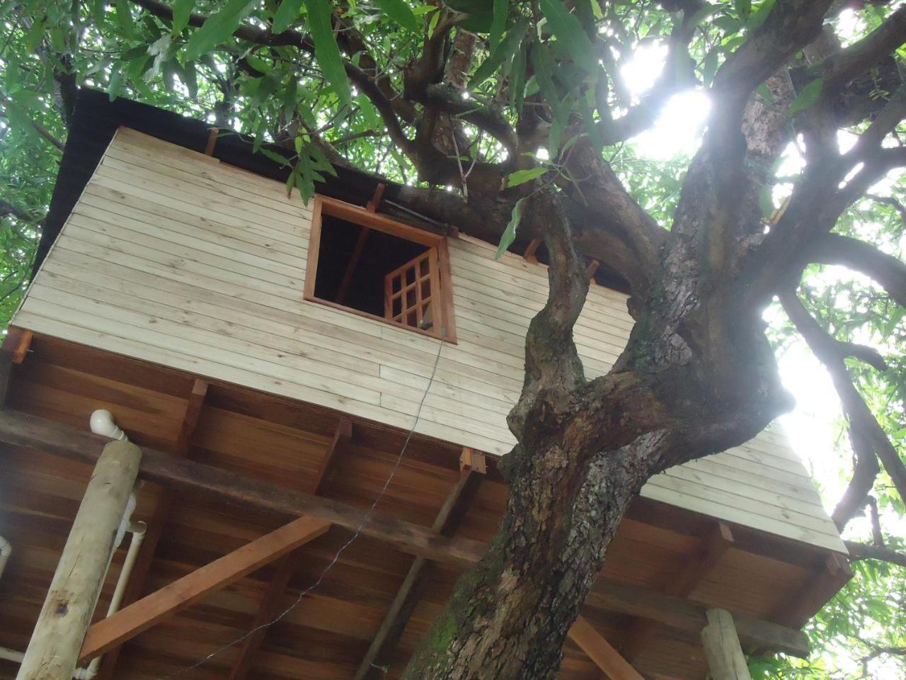 Casa Na Arvore ซัลวาดอร์ ภายนอก รูปภาพ