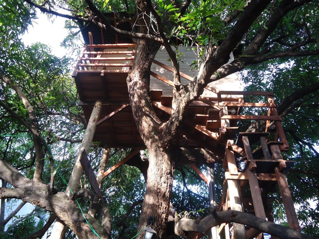 Casa Na Arvore ซัลวาดอร์ ภายนอก รูปภาพ