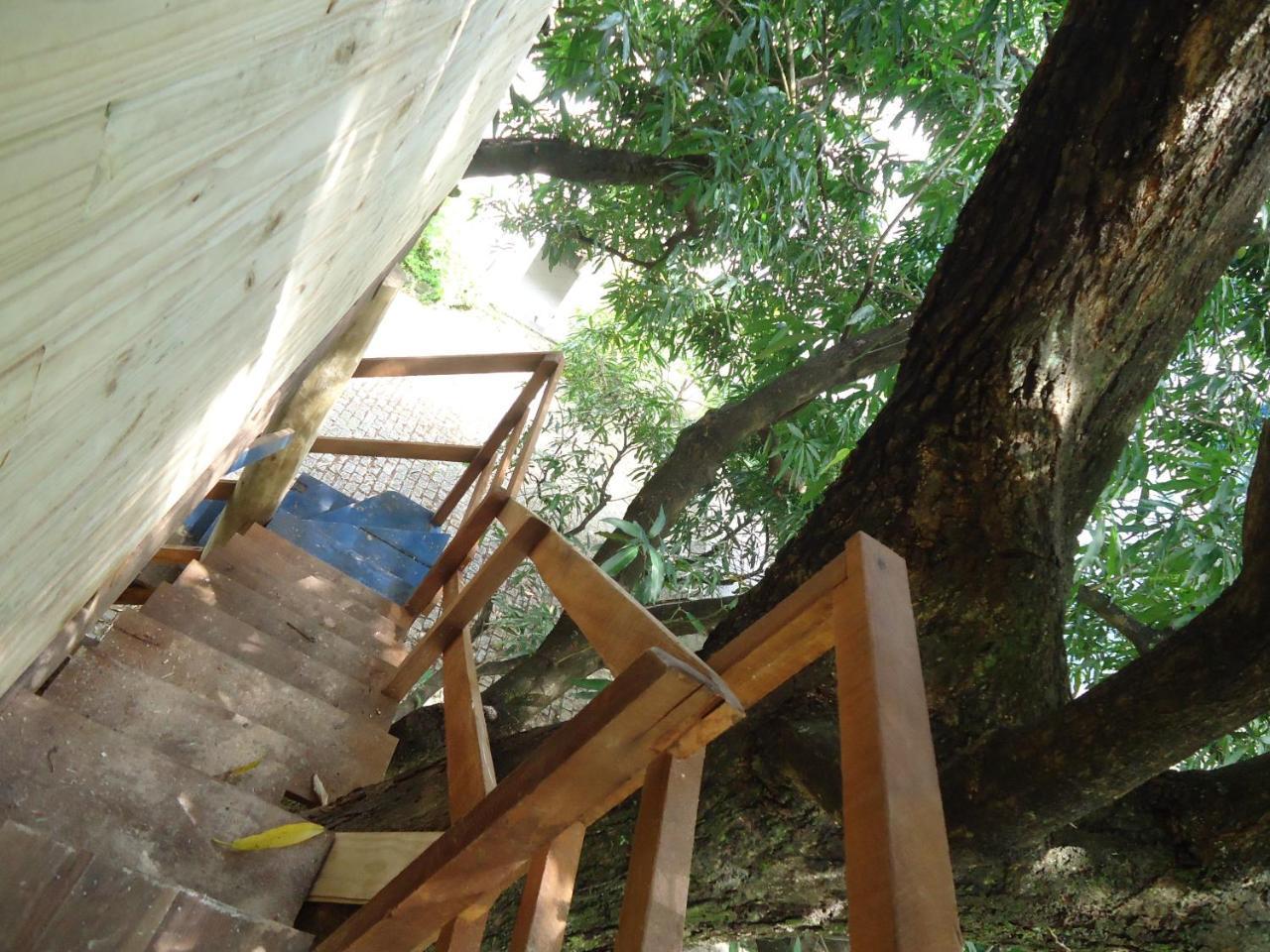 Casa Na Arvore ซัลวาดอร์ ภายนอก รูปภาพ